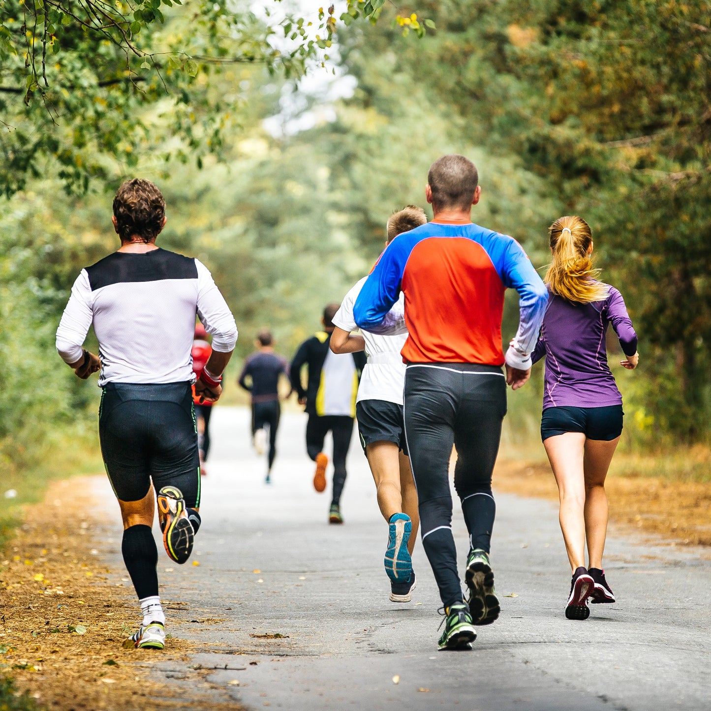 Recovery Training Plan