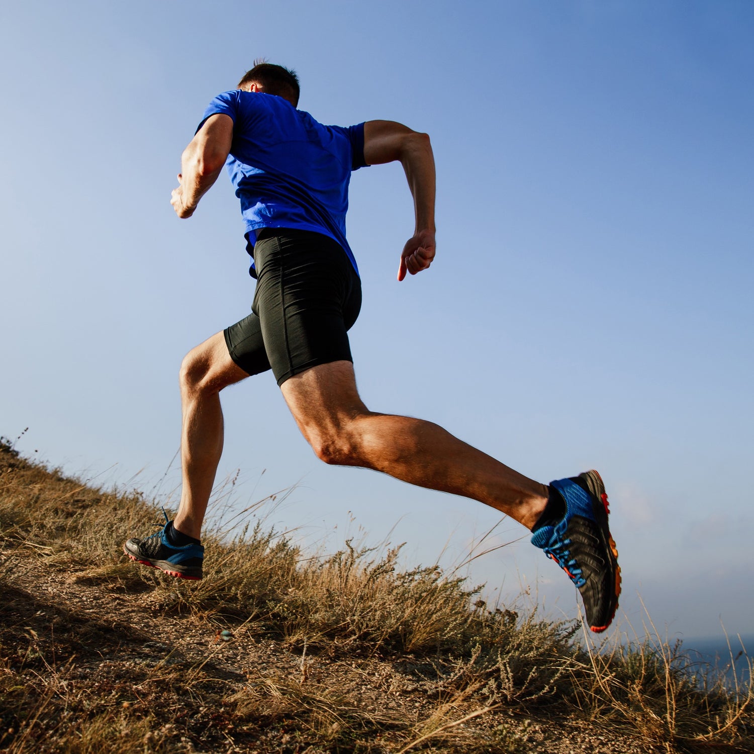 Build Your Own Training Plan Base, Stamina, Speed, Hills & Recovery Plans